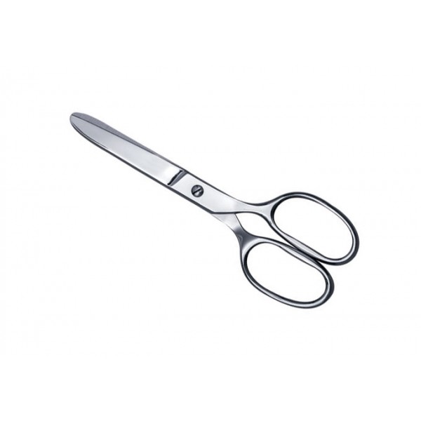 House Hold & Taylor Scissors